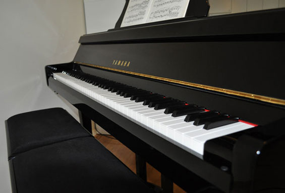 Yamaha GT2