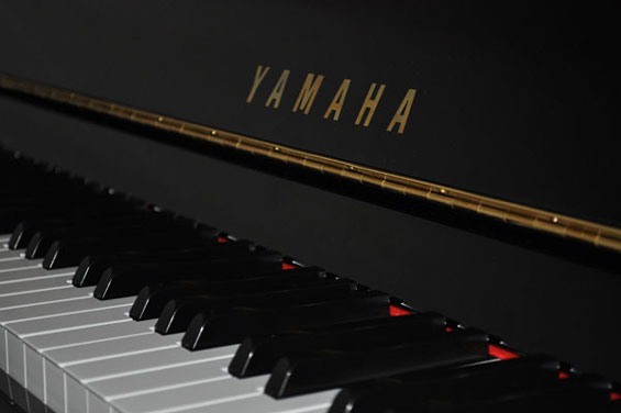 Yamaha GT2