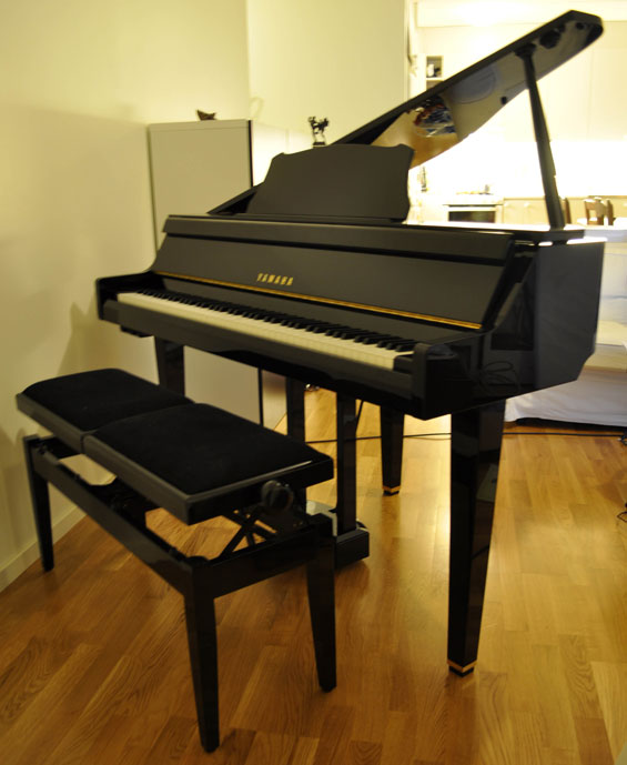 Yamaha GT2